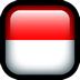 Indonesia flag