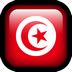 Tunisia flag